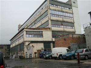 Cum a ajuns o fabrică de pensule de la Cluj să creioneze arta contemporană a lumii