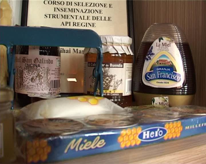 Românii, campioni la producţia de miere. Vezi ce spun apicultorii clujeni VIDEO