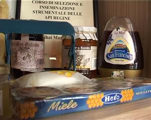 Românii, campioni la producţia de miere. Vezi ce spun apicultorii clujeni VIDEO