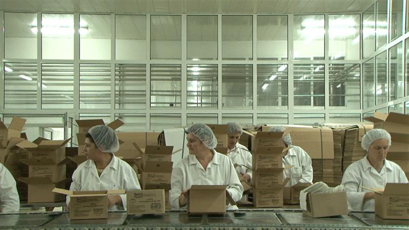 Încep Zilele Filmului Românesc la TIFF