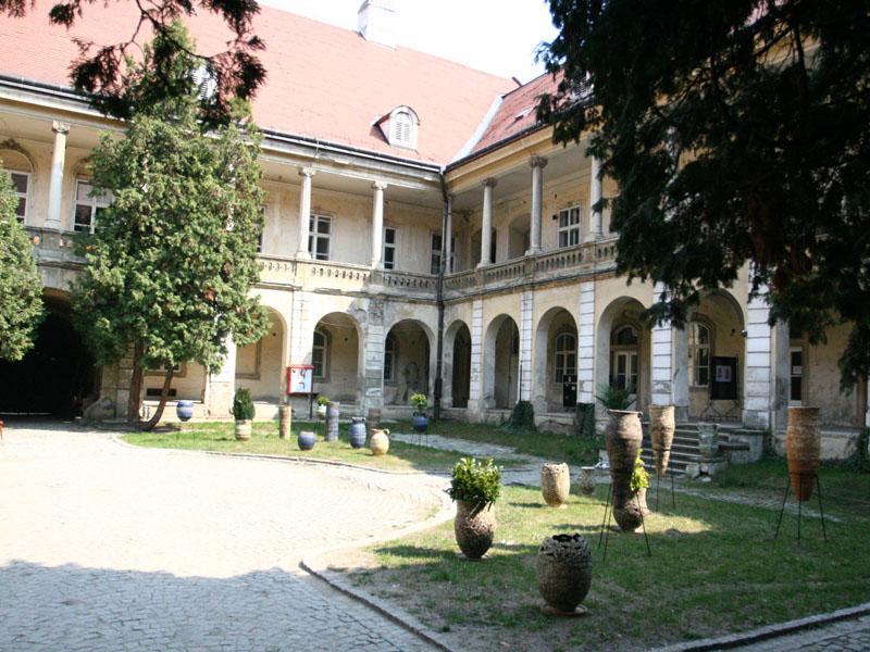 Artă video la Muzeul de Artă, cu deţinuţii dintr-un penitenciar de maximă siguranţă