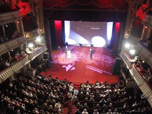 Cortina peste TIFF 11