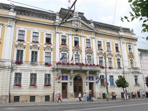 Vezi componenţa comisiilor de specialitate în Consiliul Local Cluj
