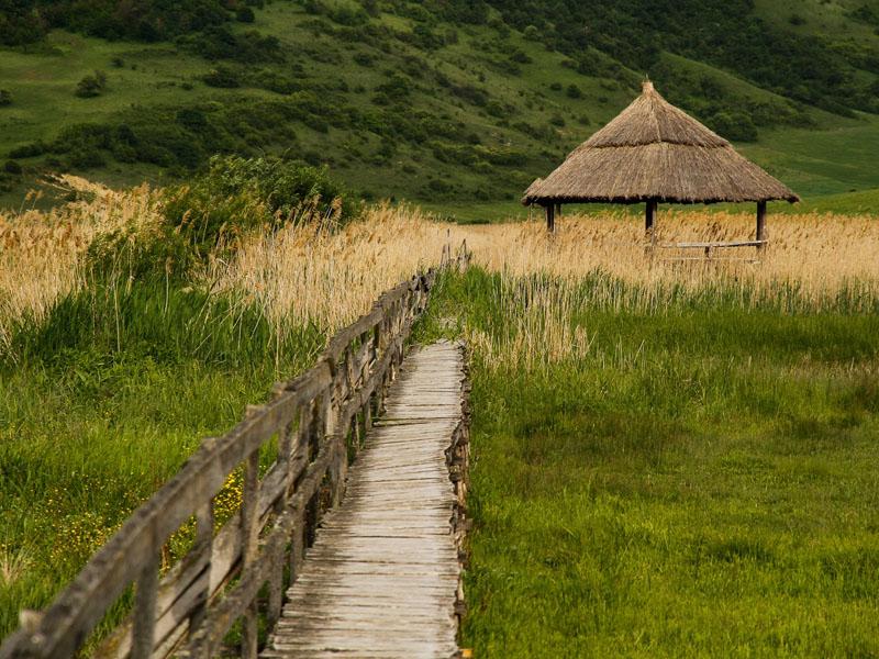 O jumătate de milion de euro pentru Delta Clujului