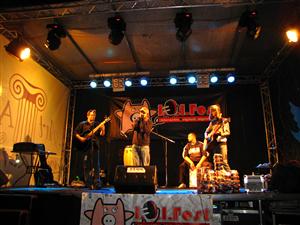 Două festivaluri, sub aceeaşi “pălărie”, în weekend, la Cluj