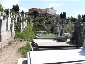 Boc nu vrea crematoriu uman în oraş VIDEO