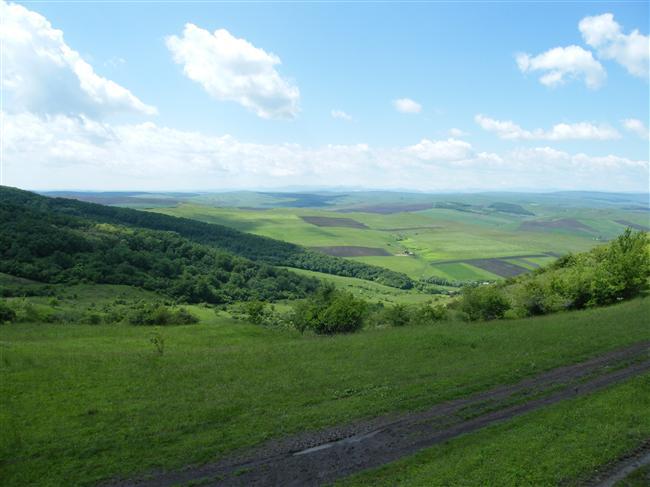 Patru proiecte româneşti pentru situri Natura 2000, finanţate de UE prin programul Life+