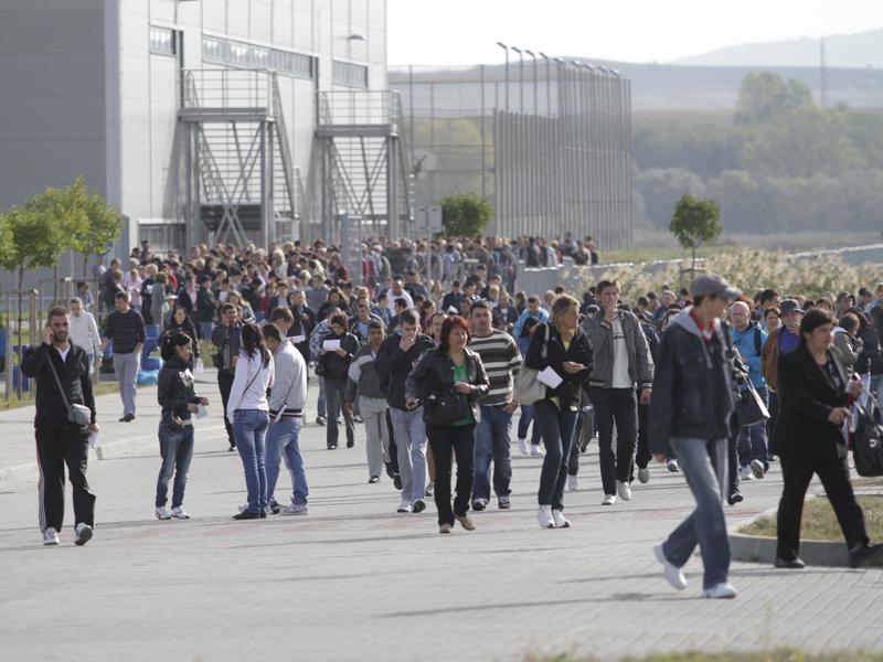 Cine ia milioanele de euro pentru IT