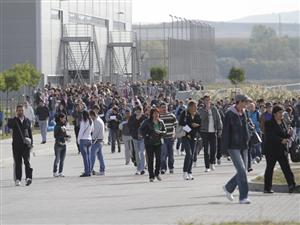 Cine ia milioanele de euro pentru IT