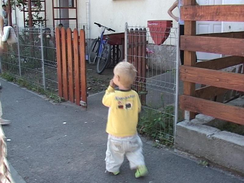 Şapte copii lăsaţi în grija unei surori de 20 de ani de mama plecată în străinătate