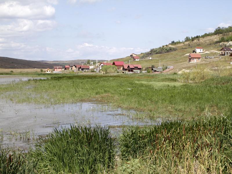Scandal cu un fermier olandez: peştii se zbat pe uscat, la Câmpeneşti FOTO / VIDEO