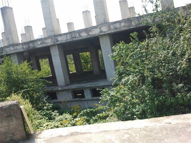 Pe ruina spitalului din Mănăştur au crescut copacii FOTO / VIDEO