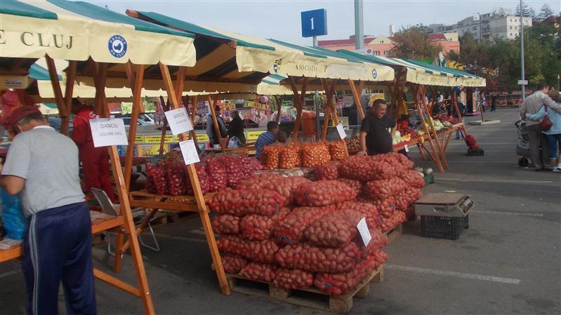 Cele mai mari legume, vedete la Ziua Recoltei 