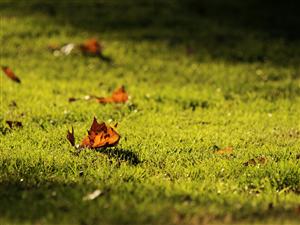 Vezi unde au fost azi noapte cele mai scăzute temperaturi din ţară