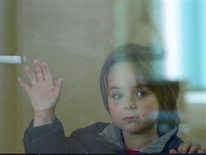 La 5 ani, a câştigat Oscarul european. Giurgiu: 
