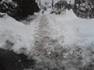 O clujeancă a făcut ce firmele de deszăpezire n-au fost în stare. A curăţat trotuarul de zăpadă, dar nimeni n-a pus mâna s-o ajute