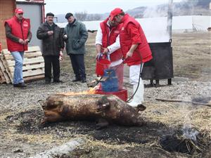 Porc tăiat tradiţional chiar de Ignat, mâine la târgul Produs de Cluj