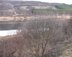 De ce s-a blocat modernizarea unui drum judeţean din Cluj din cauza păsărilor VIDEO