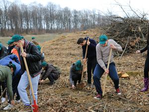 4.000 de puieţi de foioase plantaţi la Cluj