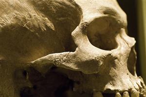Scheletele a doi tineri care se ţin de mână, din epoca medievală, descoperite în curtea unei mănăstiri din Cluj