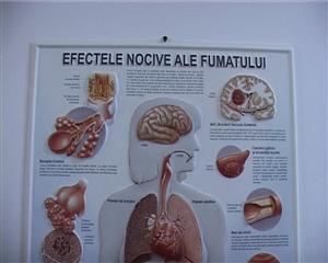 Medicii clujeni avertizează: numărul celor care suferă din cauza fumatului a crescut alarmant VIDEO