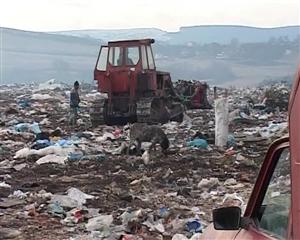 Cantitatea de gunoaie colectate selectiv creşte în Cluj de 130 de ori în 5 ani