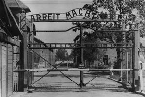 Profesorii învaţă să predea Holocaustul