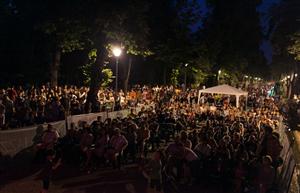 Peste 20.000 de clujeni la Jazz in the Park FOTO