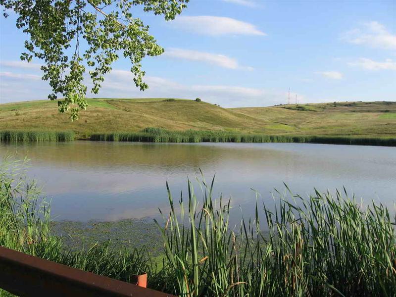 De ce mor peştii din lacul Chinteni