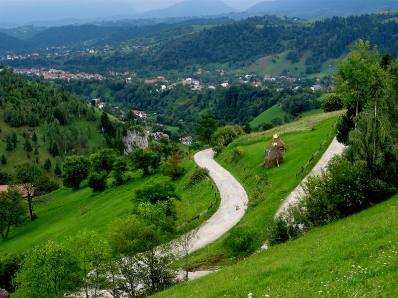Cine vrea plante modificate genetic în ariile protejate