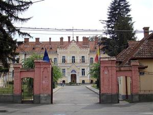 Consiliere profesională pentru 220 de persoane cu dizabilităţi, în cadrul unui proiect cu finanţare europeană derulat de autorităţile publice
