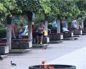 Studiu: românii nu ştiu limbi străine. Trei sferturi nu ştiu nici una VIDEO