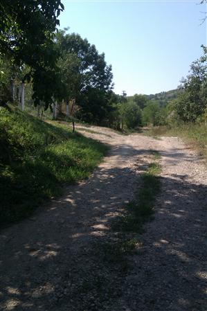 „Ne spălăm cu apă de prin tăuri şi-om ajunge să ne dăm în cap pentru ea