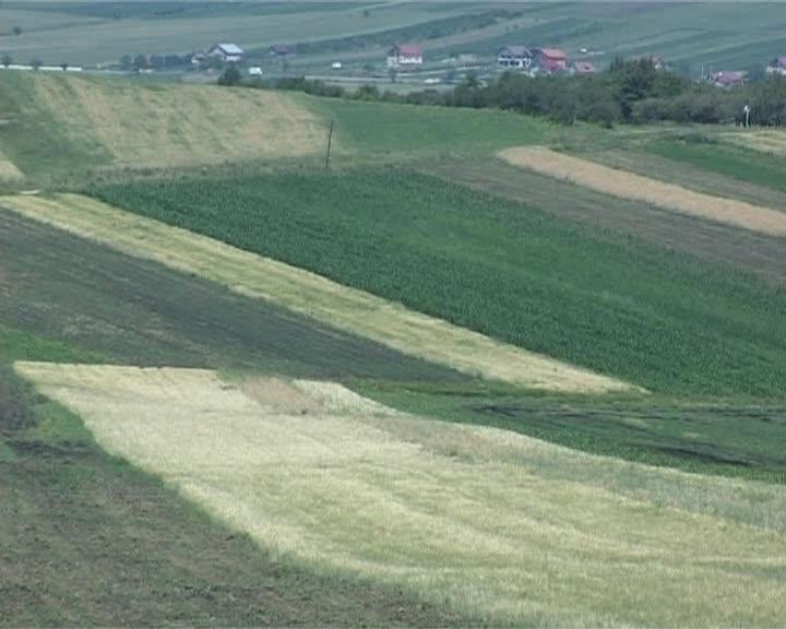 Bătăi de cap pentru primari pe tema impozitului pe teren agricol VIDEO