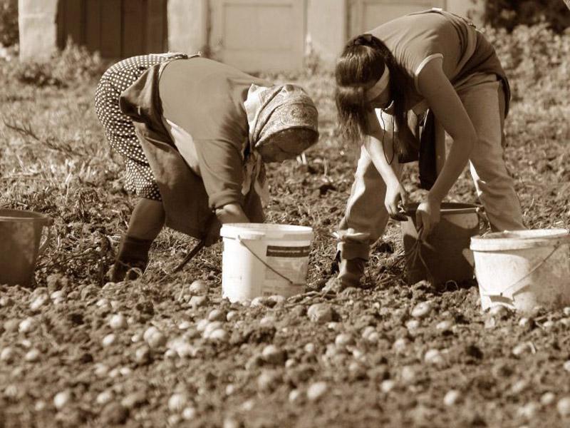 Vakar, CJ Cluj: Când vine vorba de bani, comunele clujene ar trebui să fuzioneze