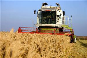 Cum se relansează economia ţării în trei ani