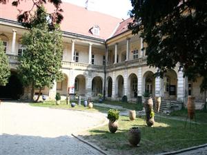 Concert de muzică de cameră la Palatul Banffy