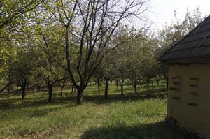 Cum să ştergi Transilvania de pe hartă, ediţie EXPLOZIVĂ 