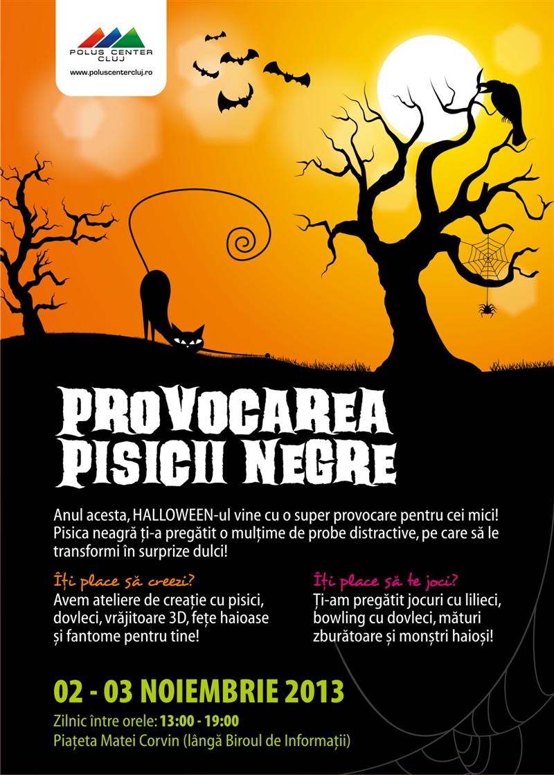 Provocarea pisicii negre la Polus Center (P)