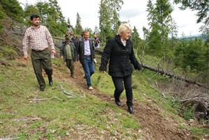 Ministrul Lucia Varga: multe distrugeri de păduri s-au făcut cu susţinerea politicului