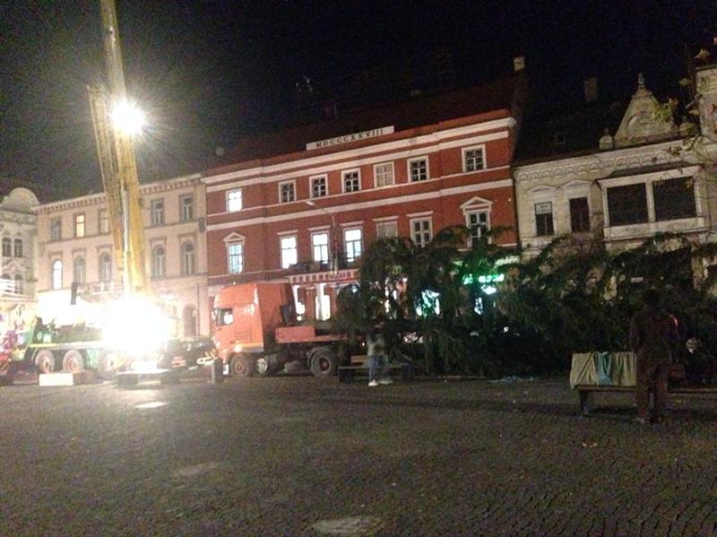 Bradul de Crăciun, instalat în centrul oraşului FOTO
