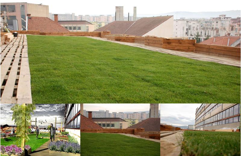 Grădină urbană, pe acoperişul Fabricii de Pensule