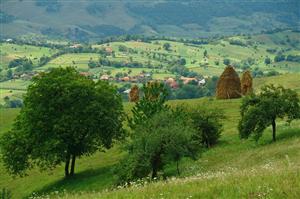 Destinaţiile ecoturistice se nasc greu