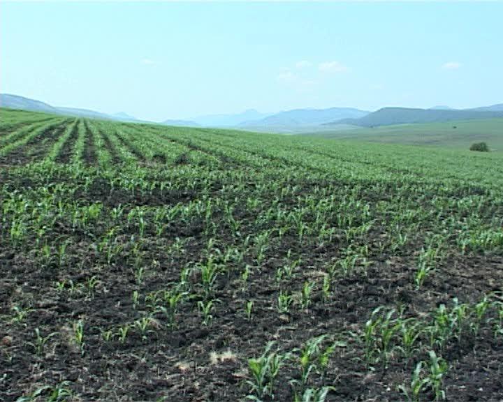 Statul maghiar se pregateste sa cumpere terenuri agricole in Transilvania. Care este strategia si ce primesc vanzatorii la schimb  VIDEO