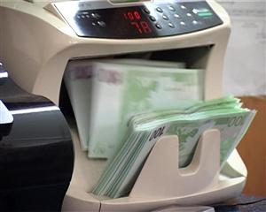 Pe cine afectează cel mai mult deprecierea leului VIDEO