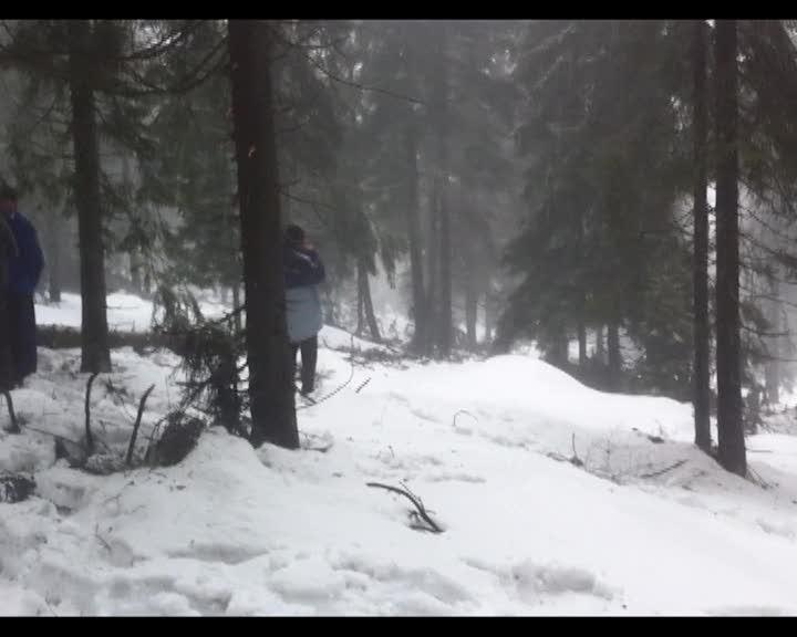 Ce crede Boc despre vinovaţii accidentului aviatic VIDEO