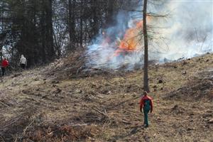 Păşuni din arie protejată în Făget, incendiate