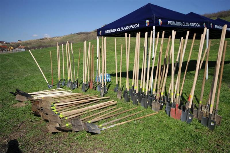 Clujul verde: 10.000 de arbori vor fi plantaţi în zona Bulevardului Muncii