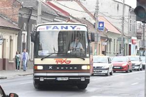 Fany refuză să iasă din Clujul metropolitan. Autorităţile nu ştiu cum să procedeze