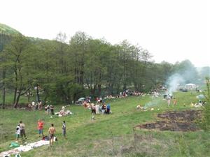 Având interdicţie la micii electorali, de 1 Mai partidele vor „ecologiza” în Hoia şi Făget